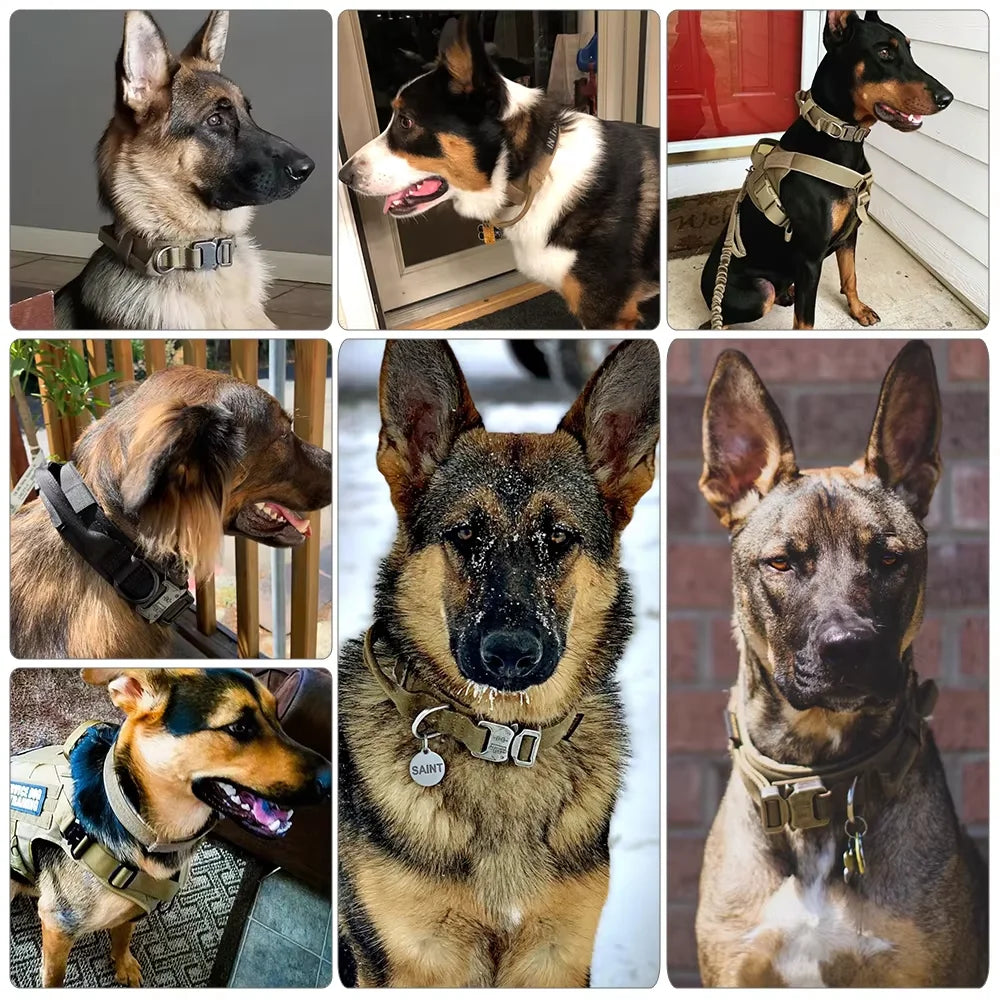 Adjustable Tactical Dog Training Collar & Leash Set – Durable Control Handle for All Breeds
