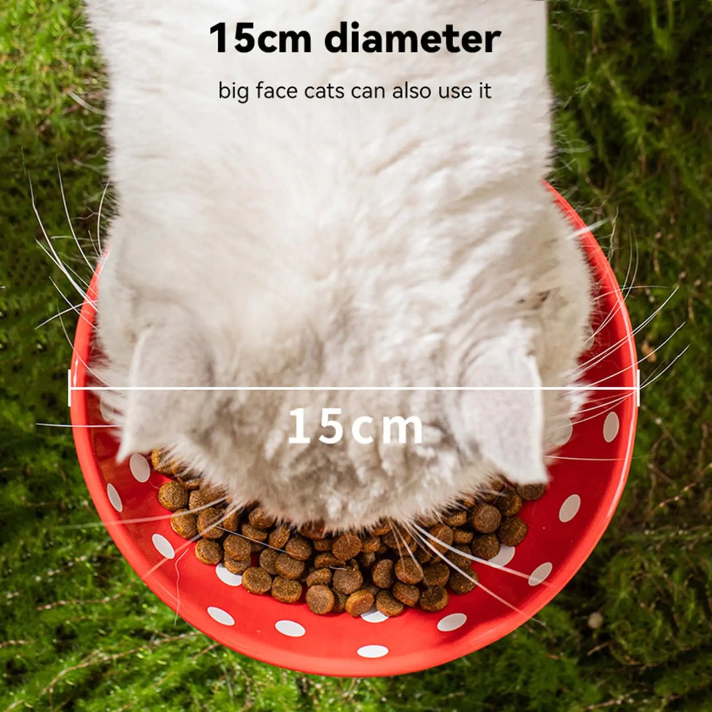 6-Inch Elevated Mushroom Cat Bowl – Ceramic Beard-Friendly Food & Water Dish with Ergonomic Raised Design