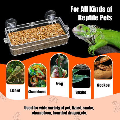 1/2PCS Reptile Feeder Bowl with Suction Cup – Anti-Escape Food & Water Dish for Chameleons, Iguanas, Lizards & Snakes