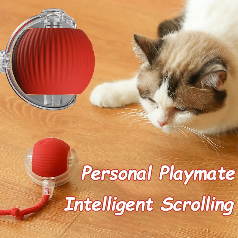 Automatic Rolling Cat Toy Ball – Rechargeable Smart Ball with Faux Tail Mouse Chase Toy for Cats & Small Dogs