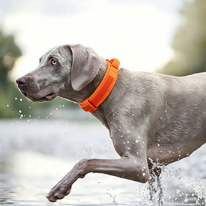 Tactical Dog Collar with Control Handle – Adjustable Heavy-Duty Military Nylon Collar for Medium & Large Dogs