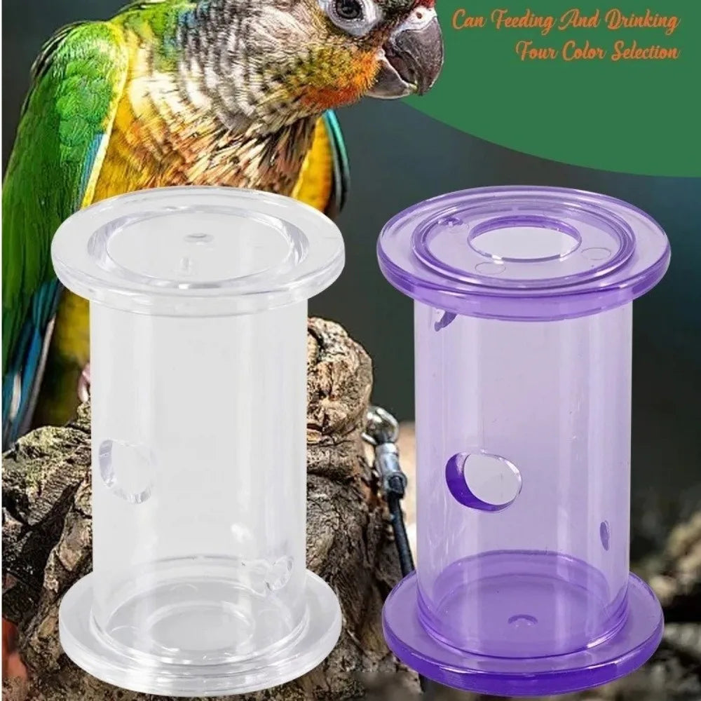 New Transparent Interactive Feeding Plastic Rolling Puzzle Bird Enrichment Pet Supplies