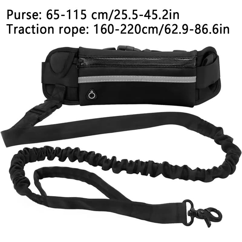 Hands-Free Reflective Dog Leash with Waist Bag – Retractable Elastic Running & Walking Lead for Dogs