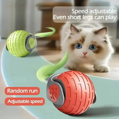 Automatic Rolling Interactive Pet Ball – Rechargeable Electric Cat & Dog Toy with Simulated Mouse Movement for Exercise & Training