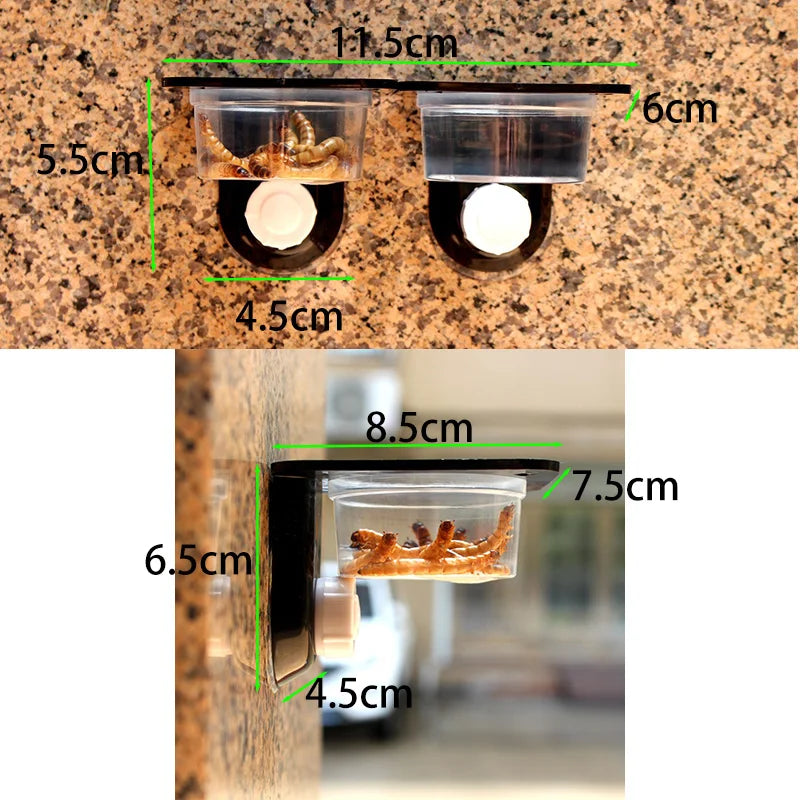 Reptile Feeding Bowl & Terrarium Accessory – Food and Water Dish for Geckos, Snakes, Spiders & Insects