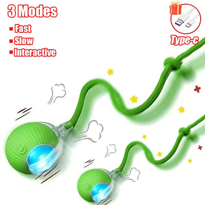 Automatic Rolling Cat Toy Ball – Rechargeable Smart Ball with Faux Tail Mouse Chase Toy for Cats & Small Dogs