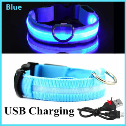USB Rechargeable LED Glowing Dog Collar – Adjustable Light-Up Safety Collar for Small & Large Dogs and Cats