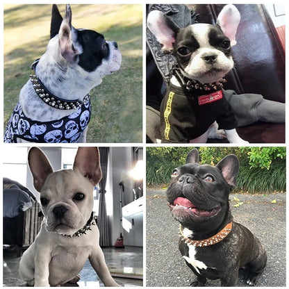 Adjustable Leather Dog Collar with Spikes & Rivet Studs – Punk Style Collar for Small Dogs and Cats