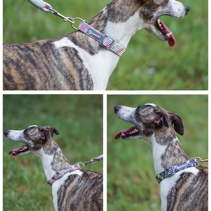 Adjustable Reflective Dog Collar – Durable Nylon Collar for Medium & Large Dogs