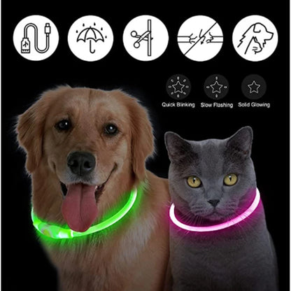 USB Rechargeable LED Glowing Dog Collar – Adjustable Light-Up Safety Collar for Small & Large Dogs and Cats