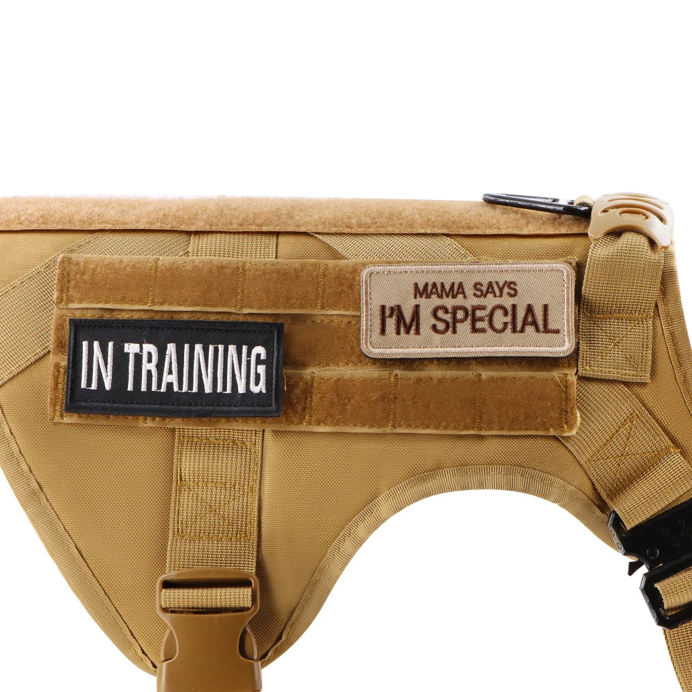 Personalized Tactical Dog Patch – Custom Name ID Label for Dog Harness, Vest & Collar