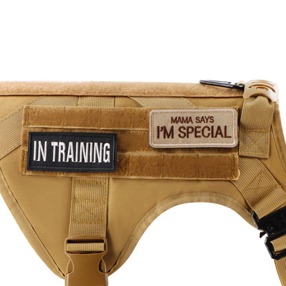 Personalized Tactical Dog Patch – Custom Name ID Label for Dog Harness, Vest & Collar