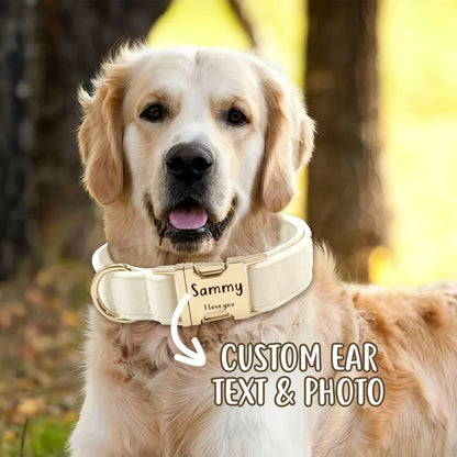 Custom Engraved Velvet Dog Collar – Personalized Name & Phone Number ID Collar