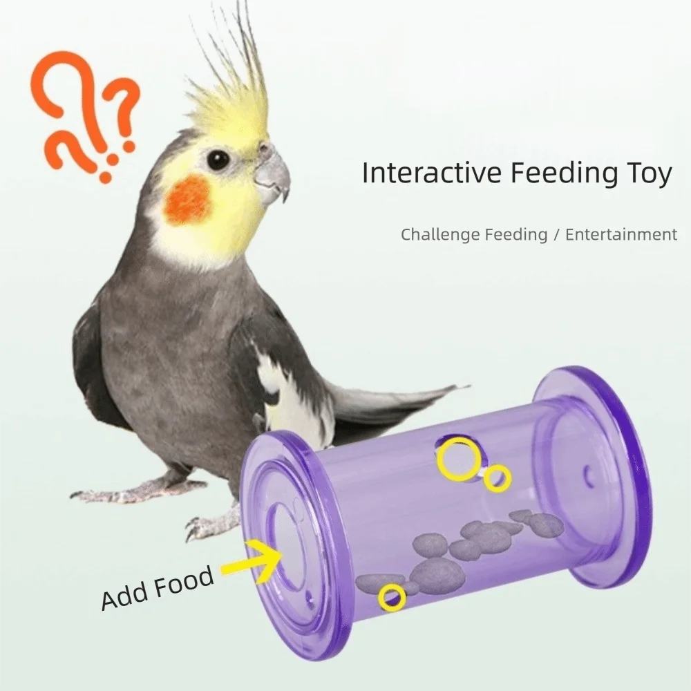 New Transparent Interactive Feeding Plastic Rolling Puzzle Bird Enrichment Pet Supplies