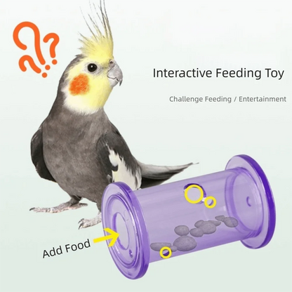 New Transparent Interactive Feeding Plastic Rolling Puzzle Bird Enrichment Pet Supplies