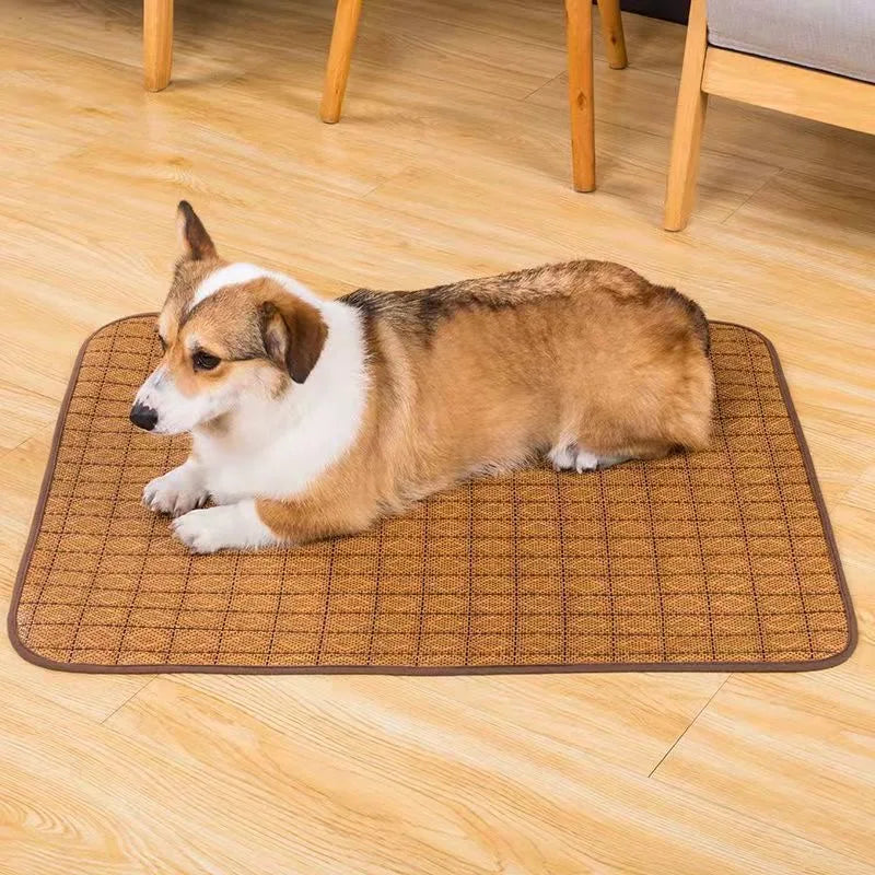 Dog Cooling Mat – Summer Cooling Pet Bed & Ice Pad for Small, Medium & Large Dogs and Cats