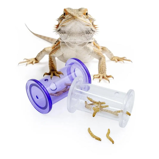 New Transparent Interactive Feeding Plastic Rolling Puzzle Bird Enrichment Pet Supplies