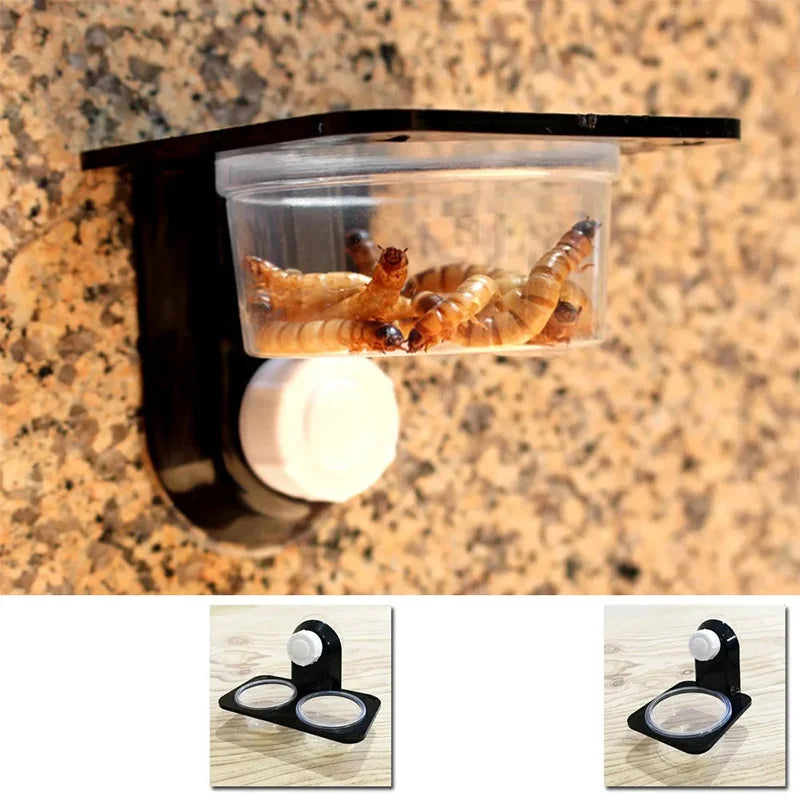 Reptile Feeding Bowl & Terrarium Accessory – Food and Water Dish for Geckos, Snakes, Spiders & Insects