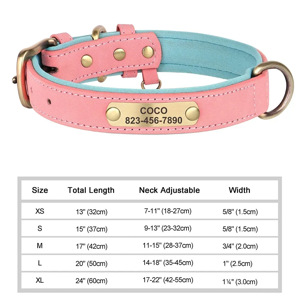 Custom Engraved Leather Dog Collar – Personalized Nameplate Collar for All Breeds