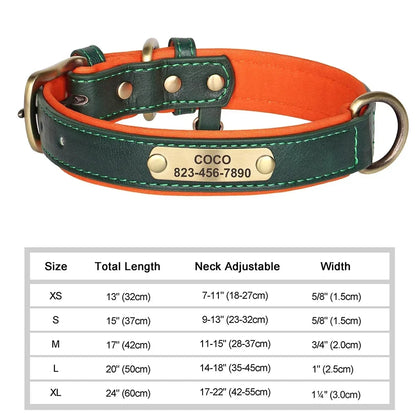 Custom Engraved Leather Dog Collar – Personalized Nameplate Collar for All Breeds