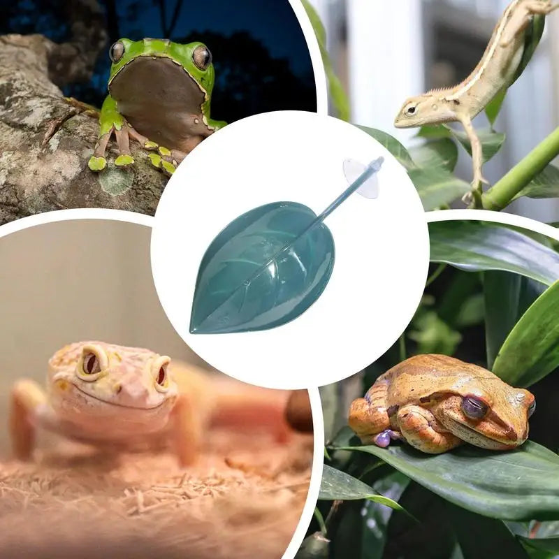 Reptile Leaf Hammock with Suction Cups – Basking Platform & Resting Terrace for Geckos, Frogs & Lizards