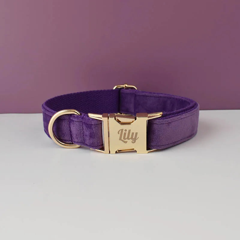 Custom Engraved Velvet Dog Collar and Leash Set – Personalized for Medium & Large Dogs