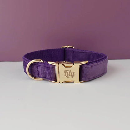 Custom Engraved Velvet Dog Collar and Leash Set – Personalized for Medium & Large Dogs