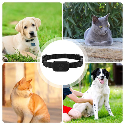 Smart Small Dog, Cat Tracker Collar – iOS Compatible Multifunctional Pet Tracking Collar for Small Dogs Cats & Kittens