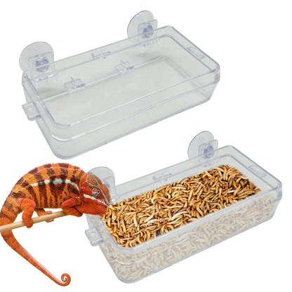 1/2PCS Reptile Feeder Bowl with Suction Cup – Anti-Escape Food & Water Dish for Chameleons, Iguanas, Lizards & Snakes