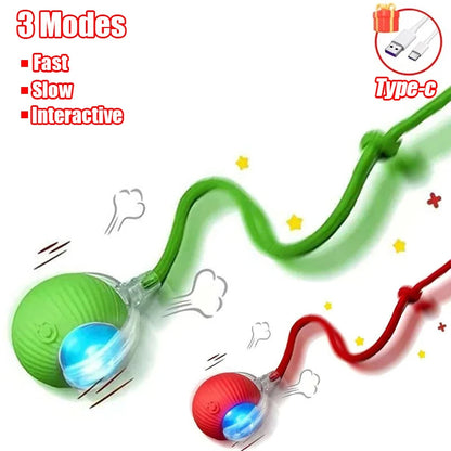Automatic Rolling Cat Toy Ball – Rechargeable Smart Ball with Faux Tail Mouse Chase Toy for Cats & Small Dogs