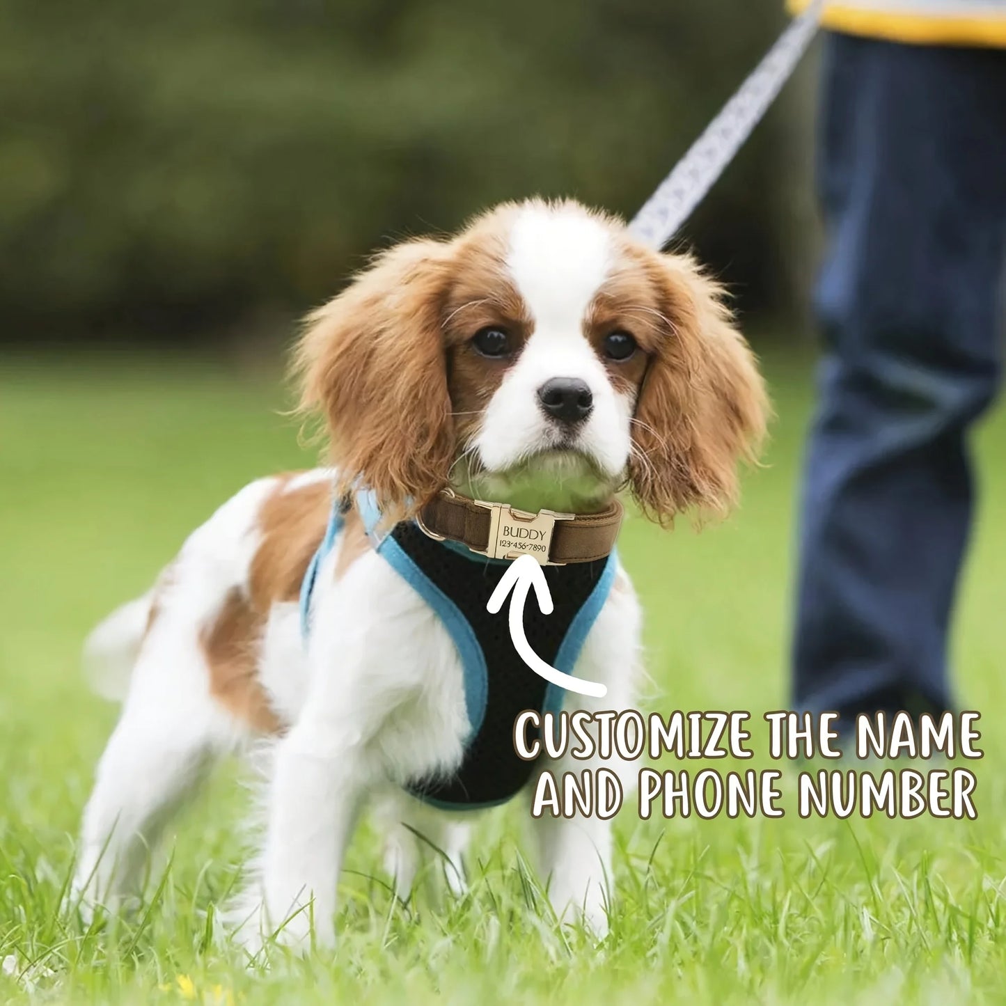 Custom Engraved Velvet Dog Collar – Personalized Name & Phone Number ID Collar
