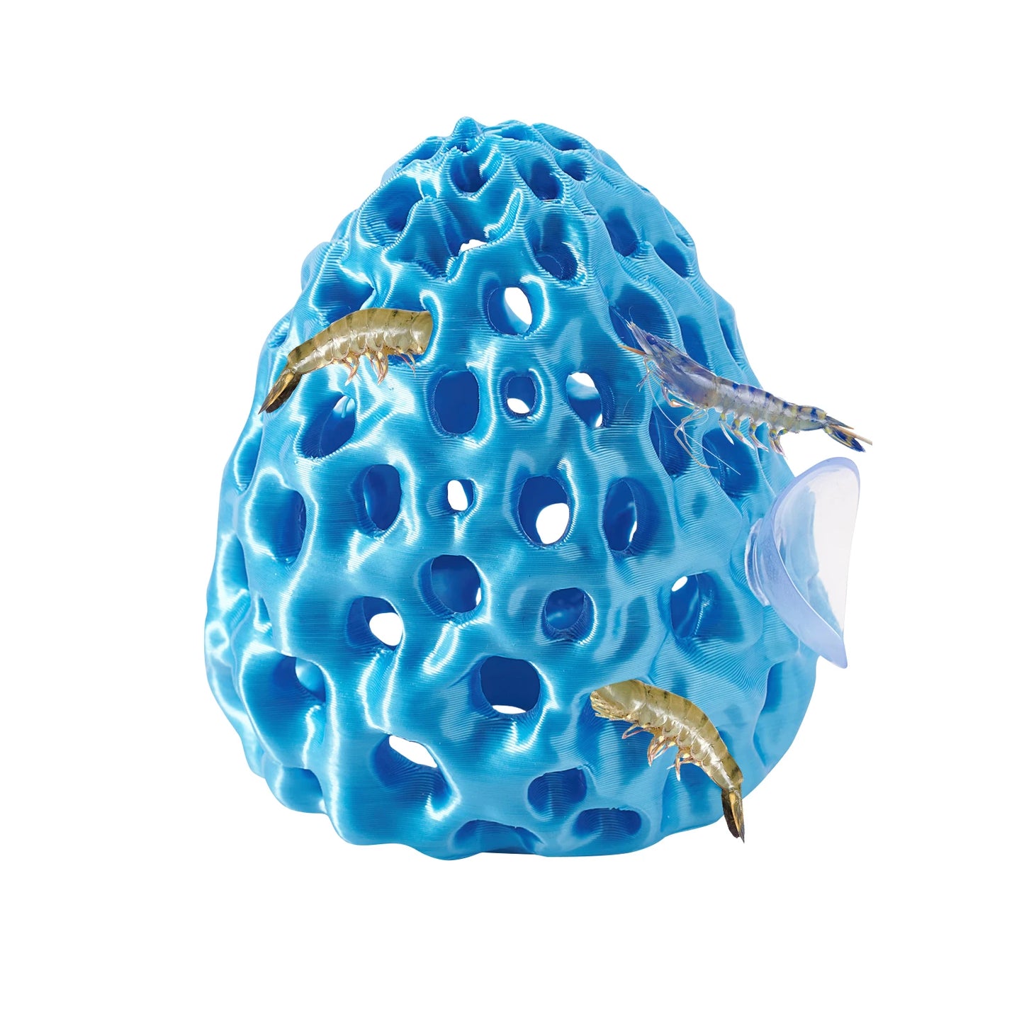 Aquarium Shrimp & Betta Fish Hideout – Suction Cup Hiding Shelter for Small Fish, Guppies & Shrimp