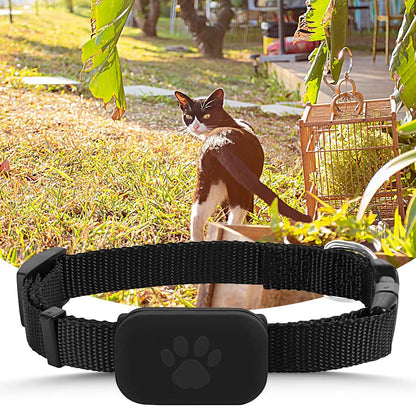 Smart Small Dog, Cat Tracker Collar – iOS Compatible Multifunctional Pet Tracking Collar for Small Dogs Cats & Kittens