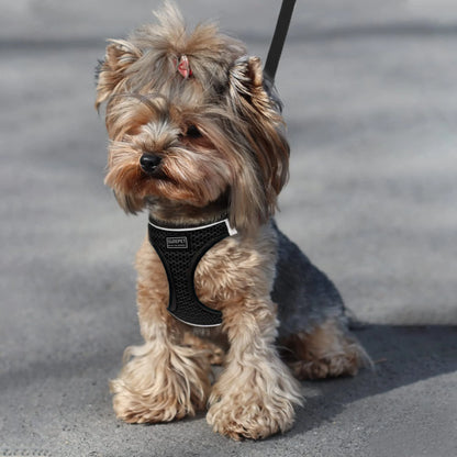 Breathable Mesh Pet Harness and Leash Set – Adjustable Reflective Vest for Dogs & Cats
