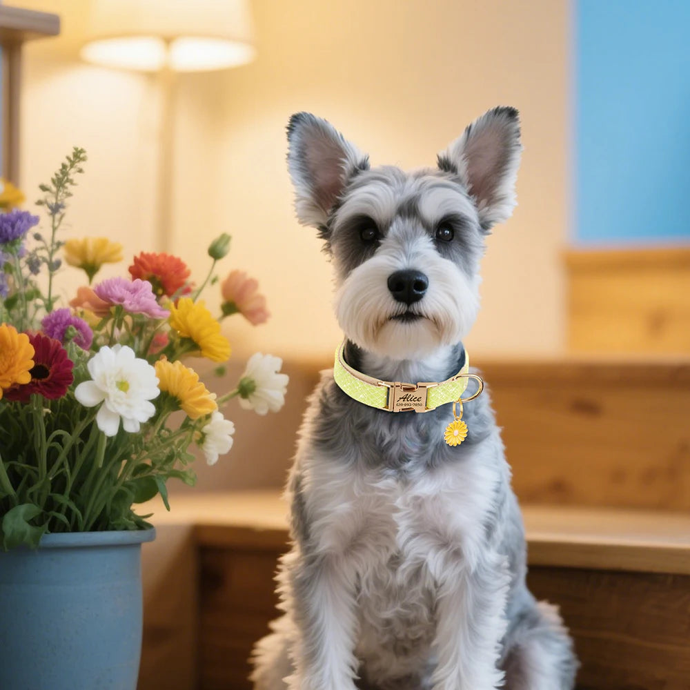 Personalized Nylon Pet Collar – Engraved ID Tag and Flower Accessory for Dogs & Cats