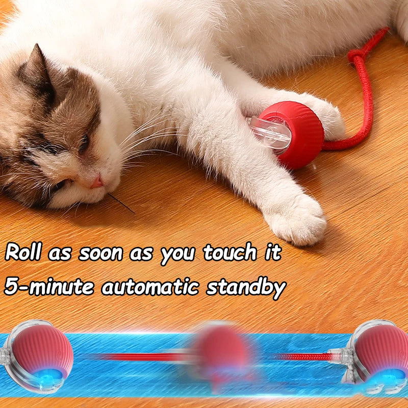 Automatic Rolling Cat Toy Ball – Rechargeable Smart Ball with Faux Tail Mouse Chase Toy for Cats & Small Dogs