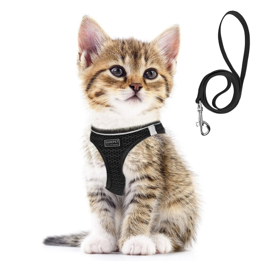 Breathable Mesh Pet Harness and Leash Set – Adjustable Reflective Vest for Dogs & Cats